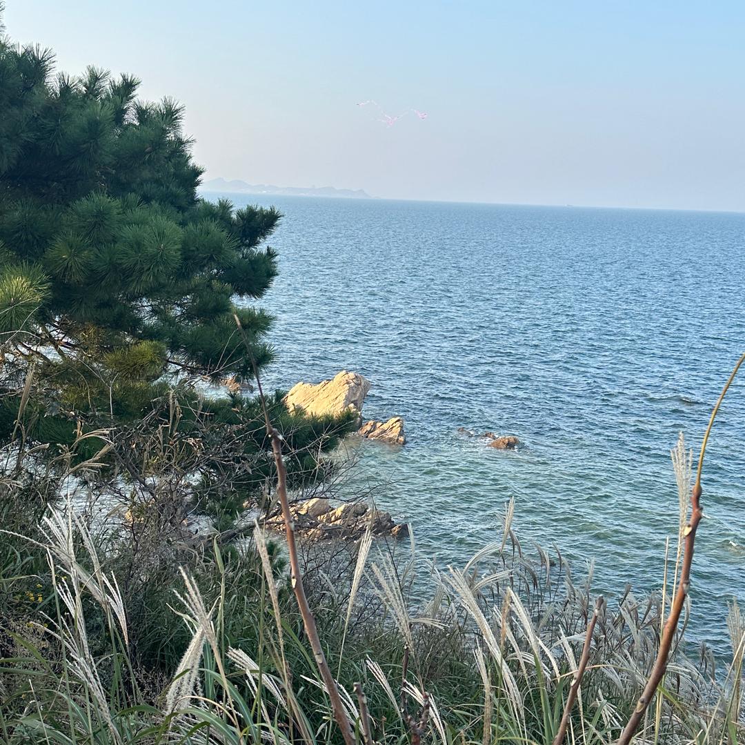 山海？