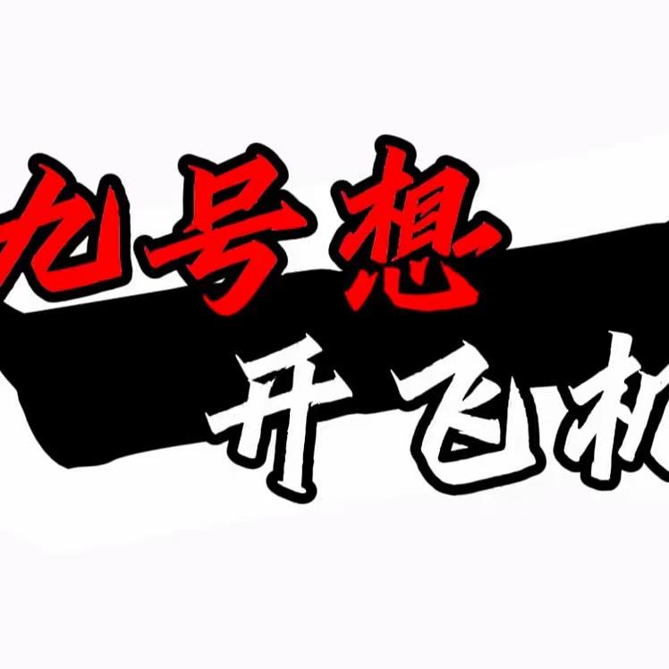 九号想开飞机