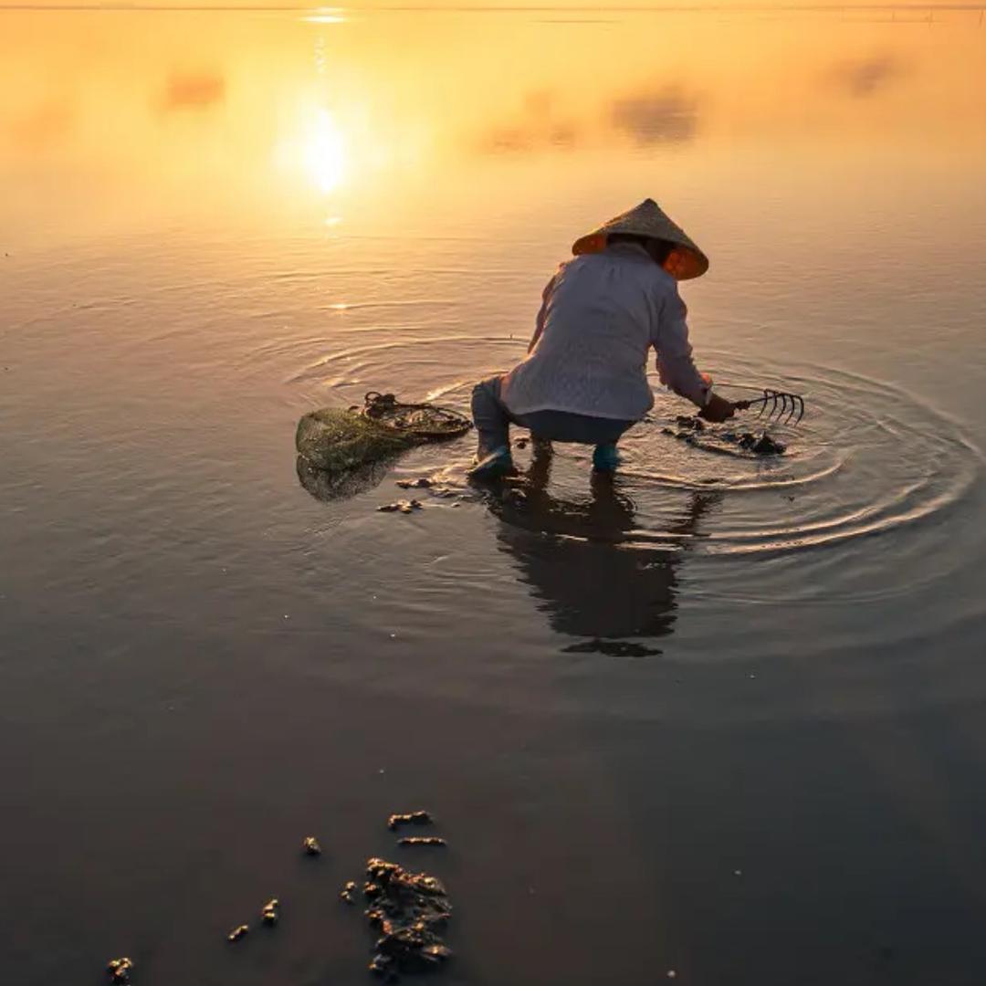 赶海人（陈哥）