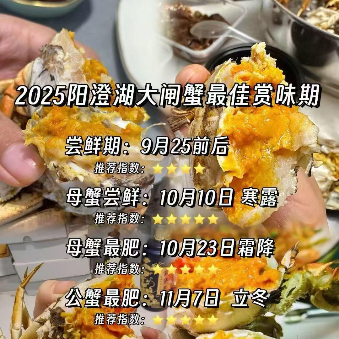 大哥成，