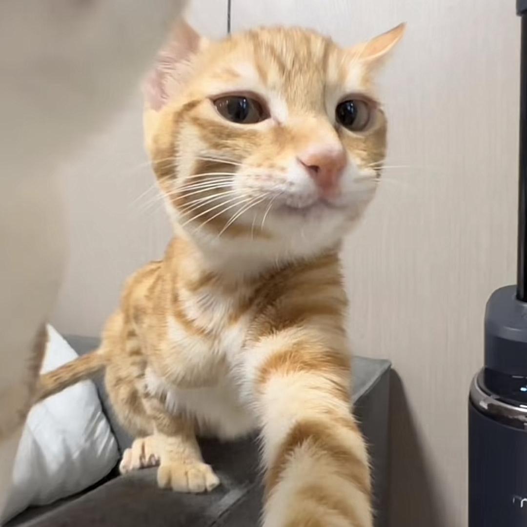 通知