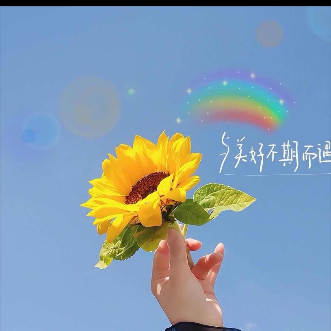 那一季“美好¥