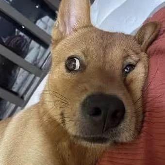 江小
