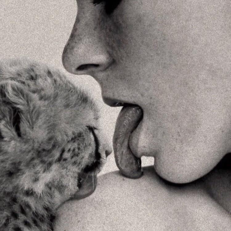 你不是真的可爱