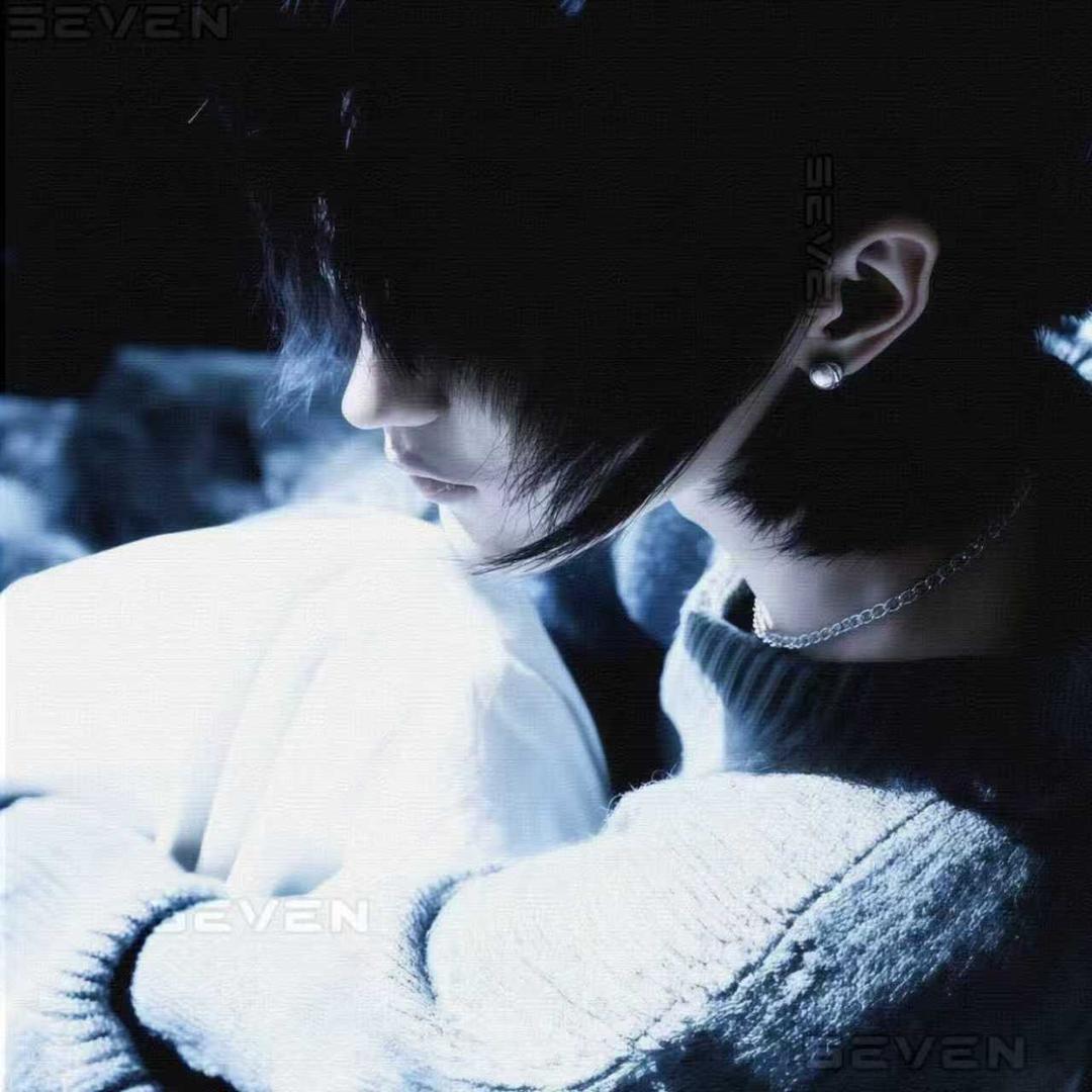 老猫骑小奶奶过马路