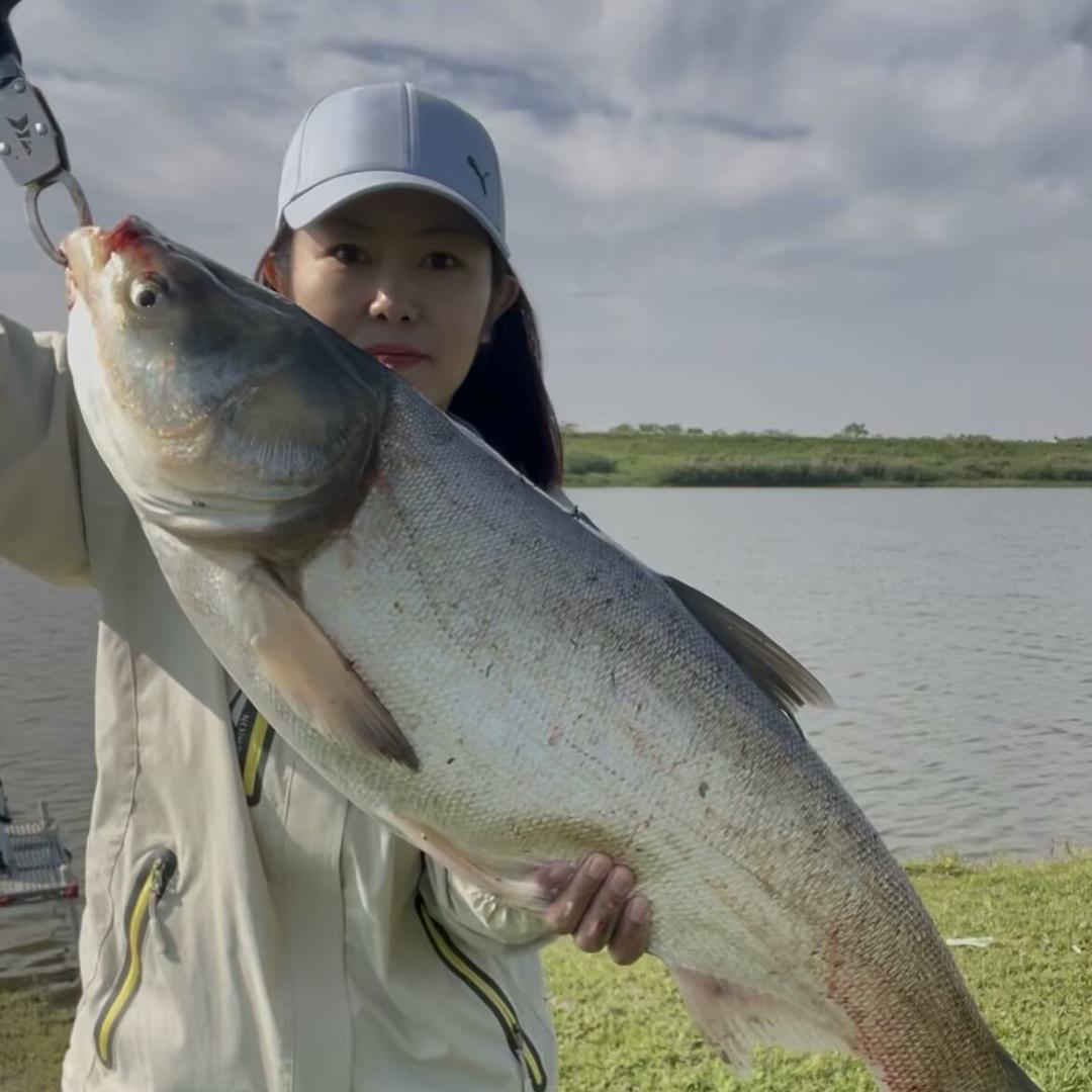 白金金🎣（备战天元大武台）