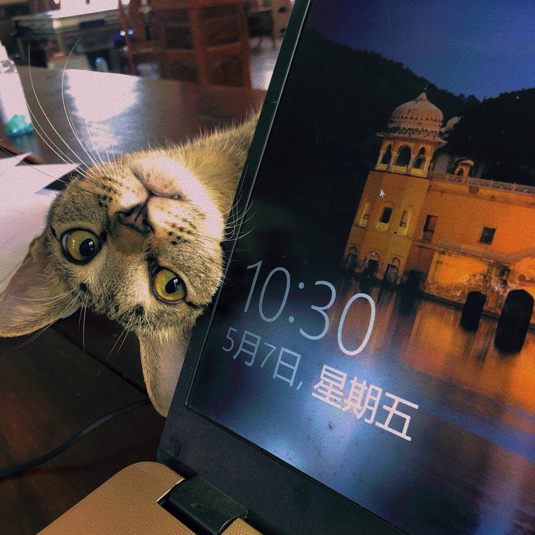 心诚泽玲
