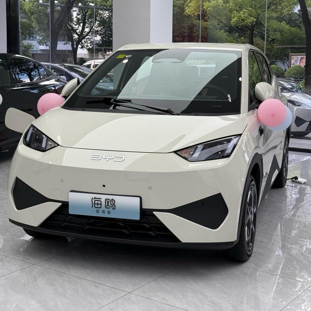 比亚迪海鸥-石榴