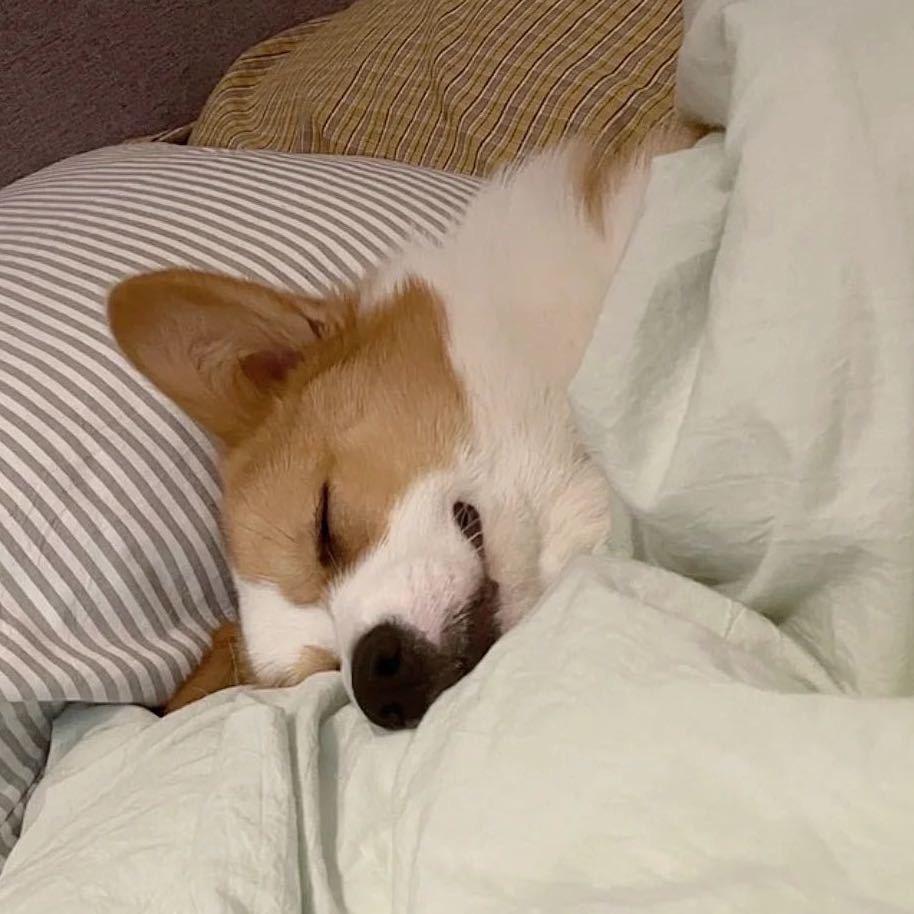 脆皮软心薄荷糖