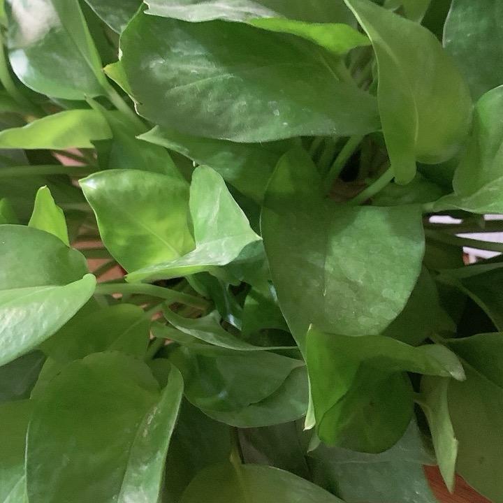 前训撩奢品小店