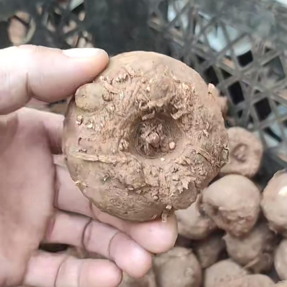 彩云之南生鲜甄选