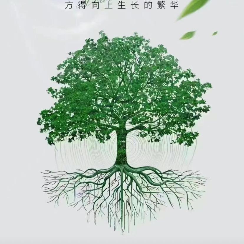 善良中的锋芒