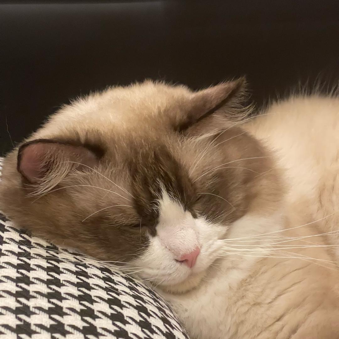 小曹🙋🏻‍♀️