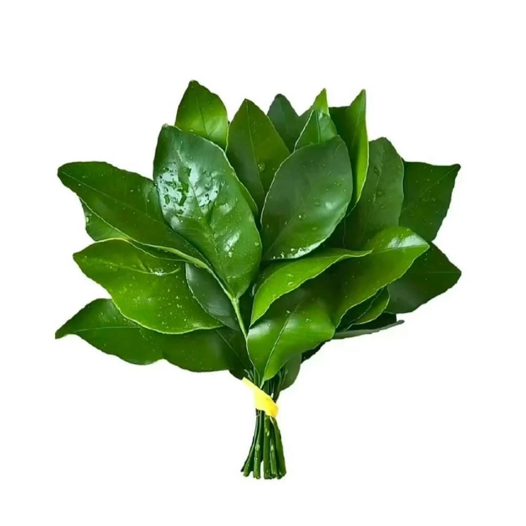 啵达一下