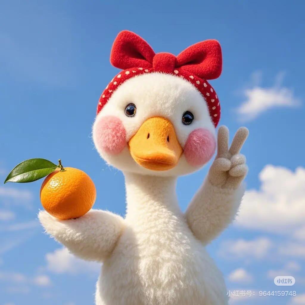 小O家的橙子🍊