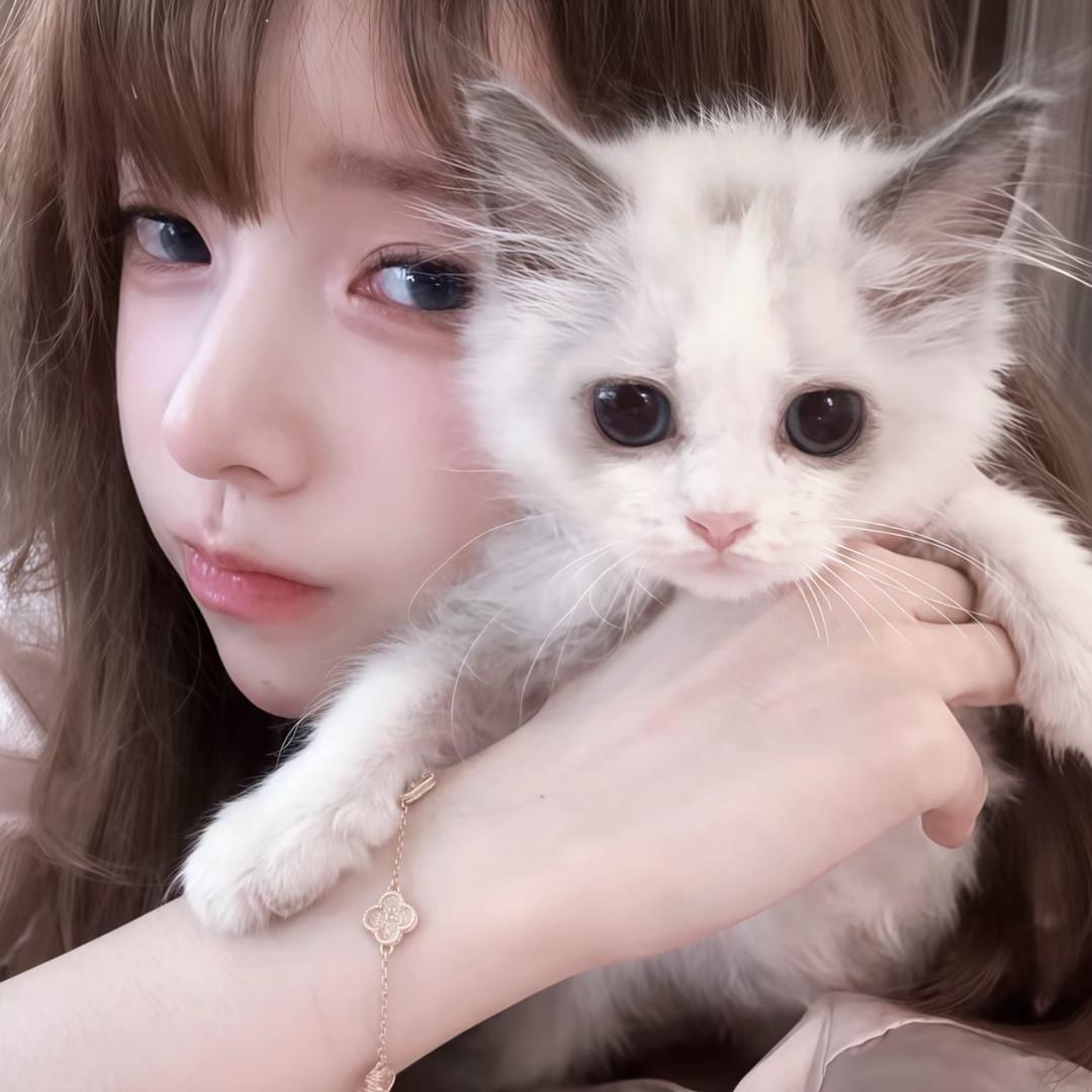 吉吉