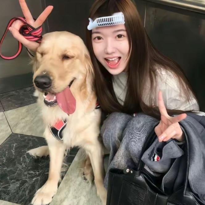 可爱多琪