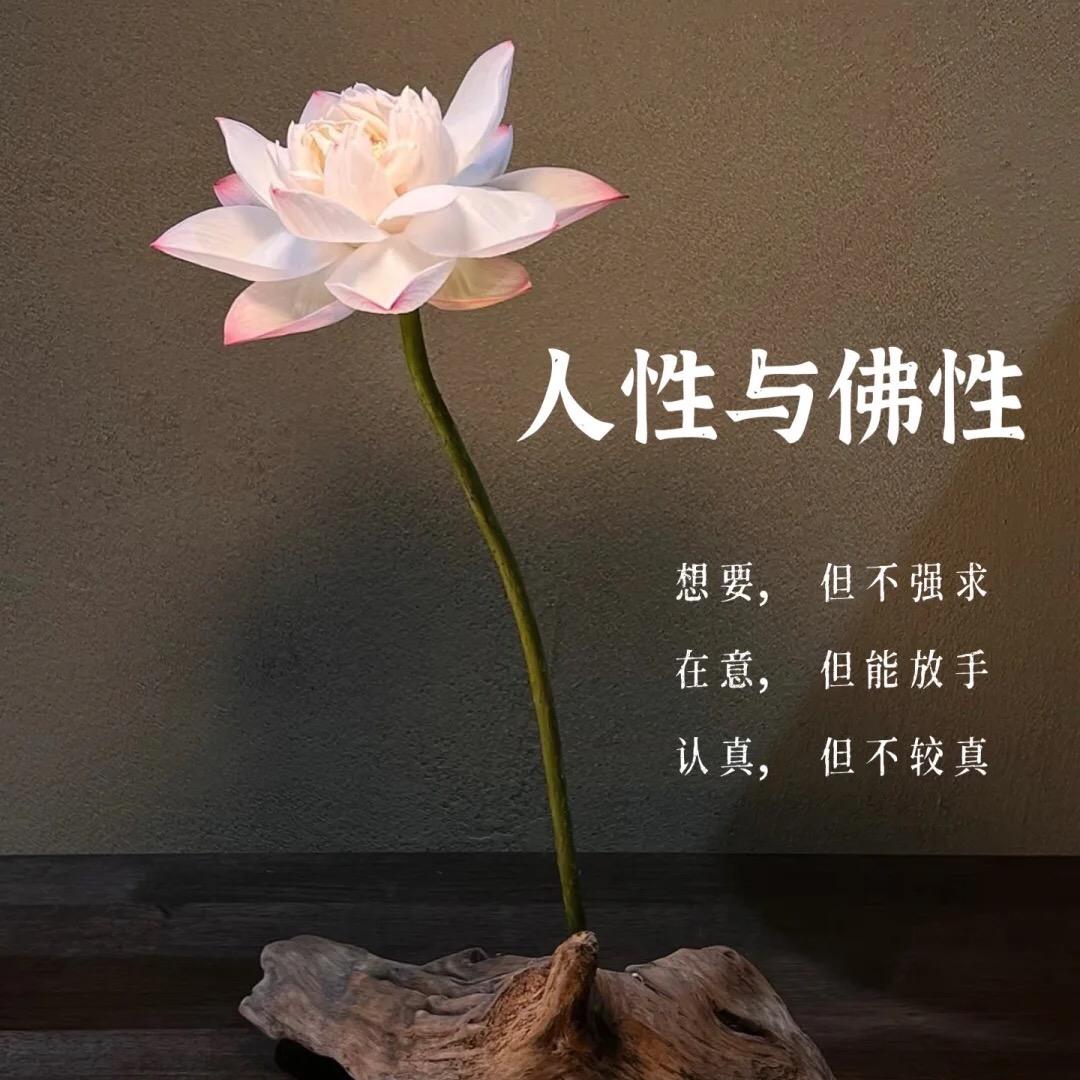 不较真