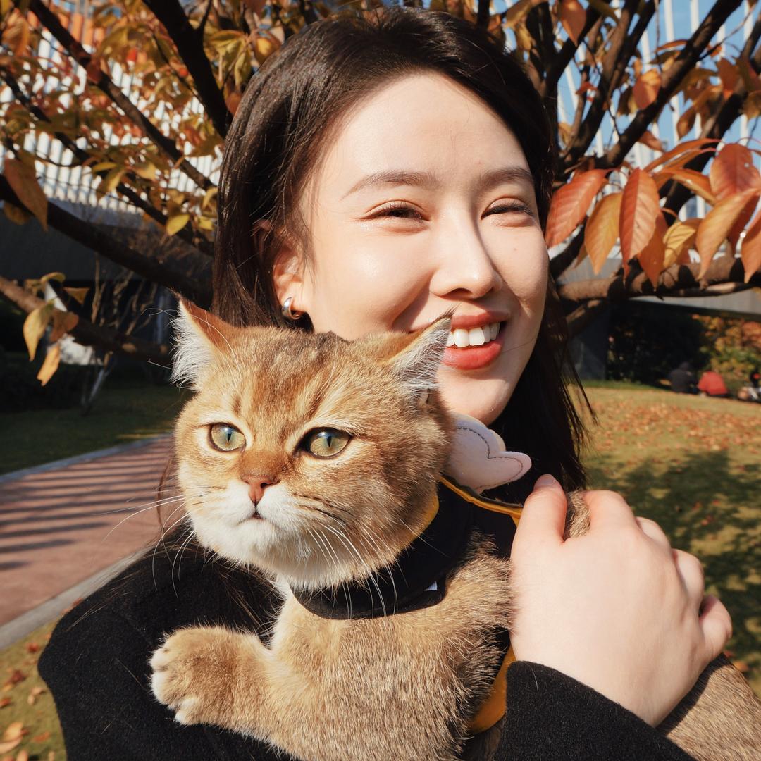 小赵的招财喵🐾