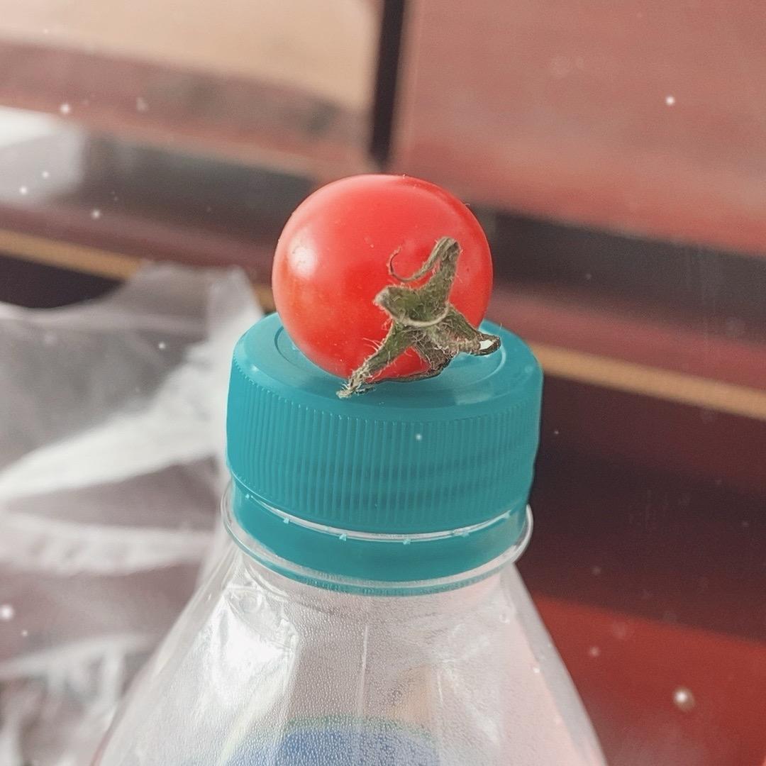 🌼菊花不在开