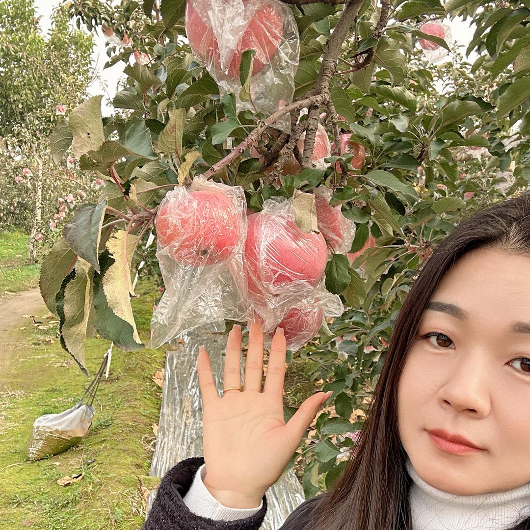 柒柒鲜果铺子