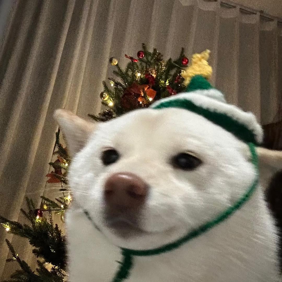 糯糯