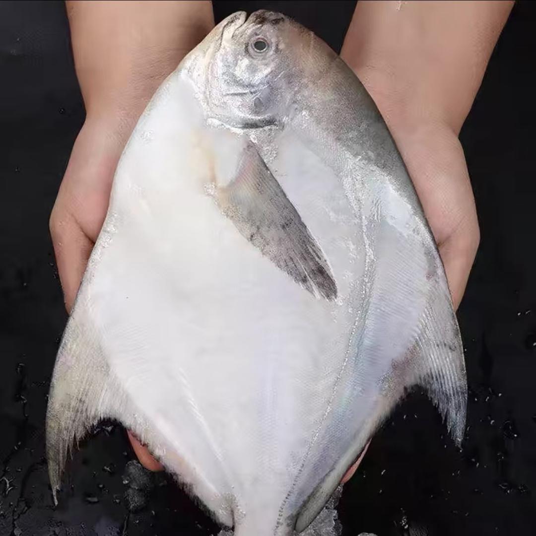 柳小妹海鲜
