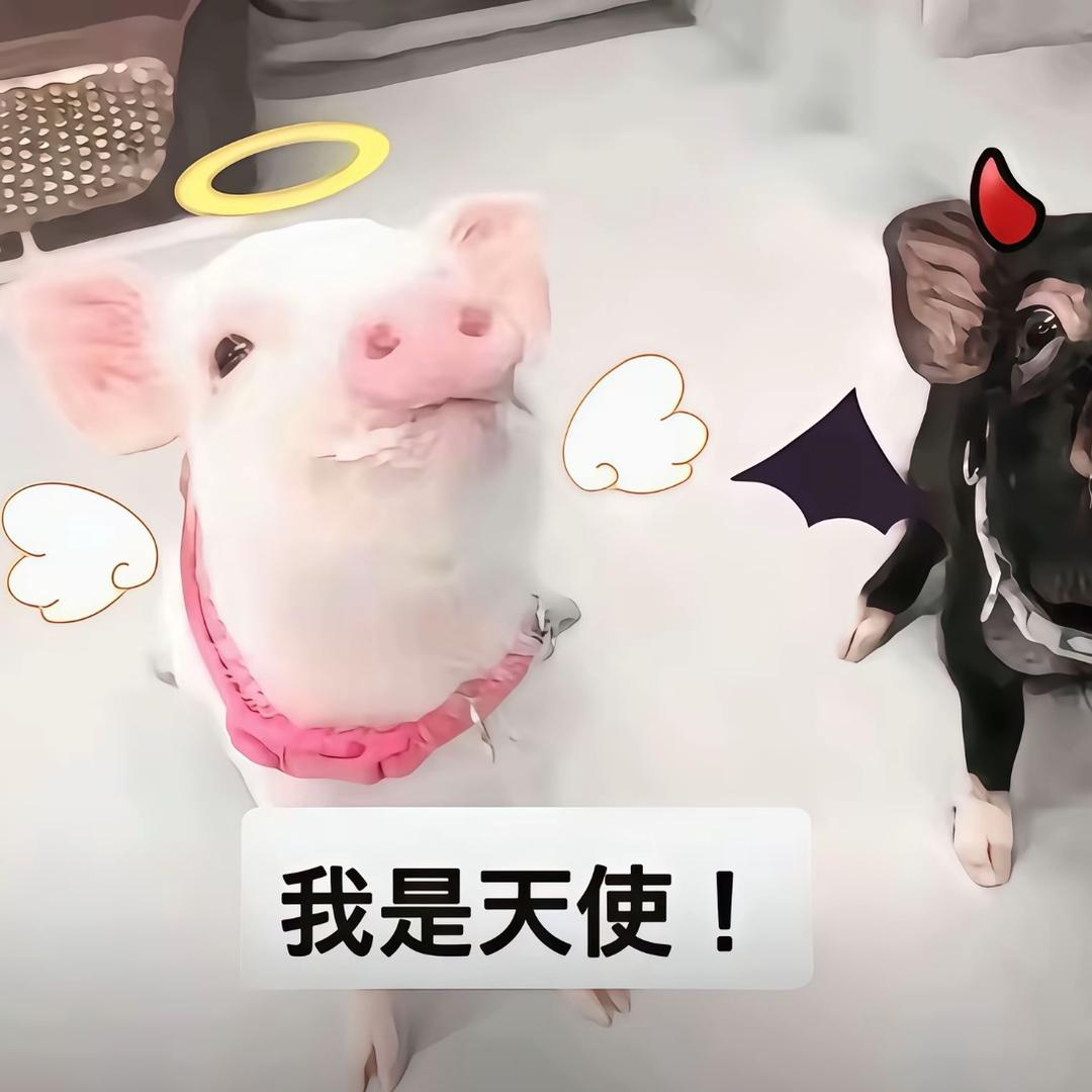 忧郁学生党