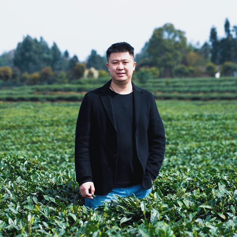 小刘找好茶