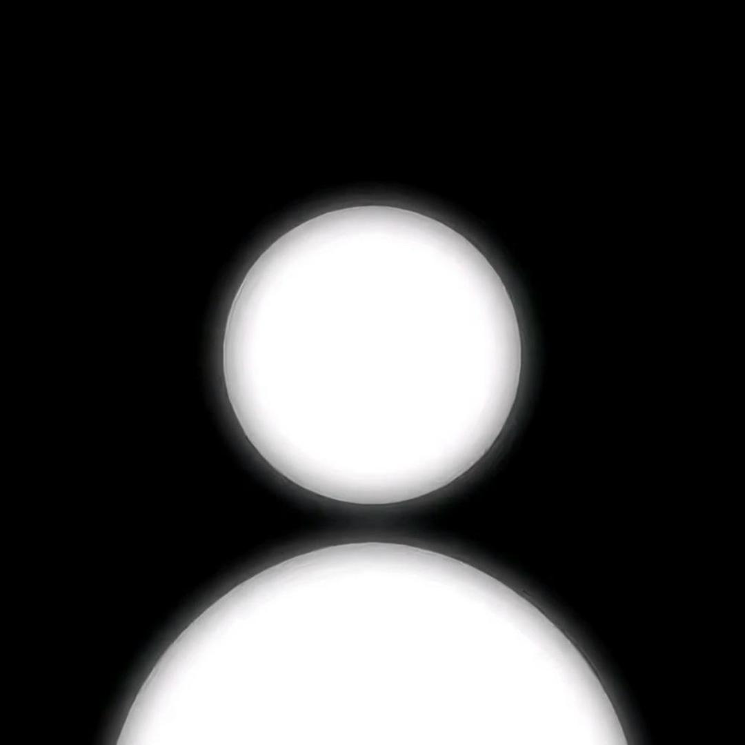 花开富贵.（王串忠实版）