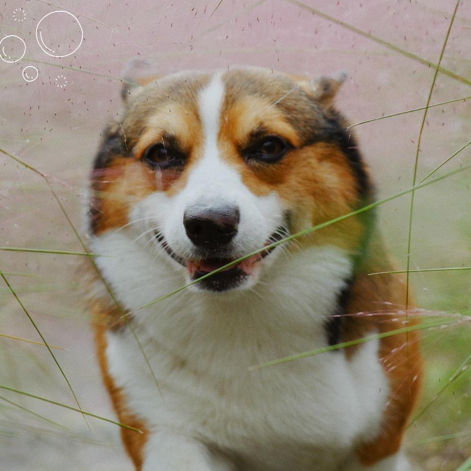 空空的街