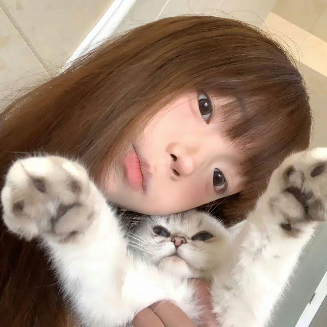 进入猫猫次元
