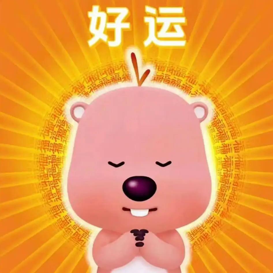 朋友无纺厂（沈帆）