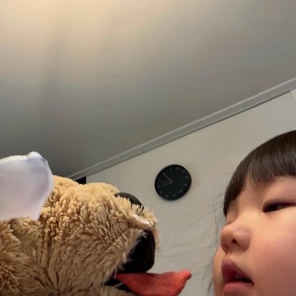 小熊🐻‍❄️