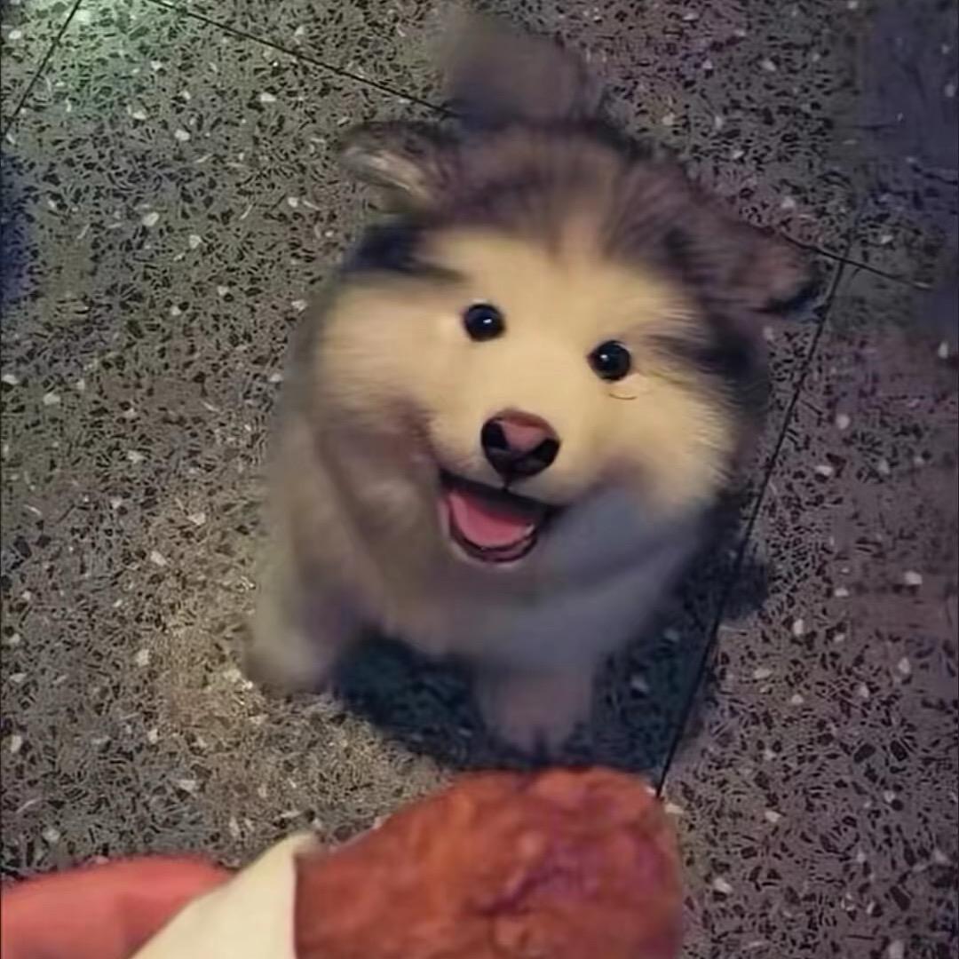 诉故事