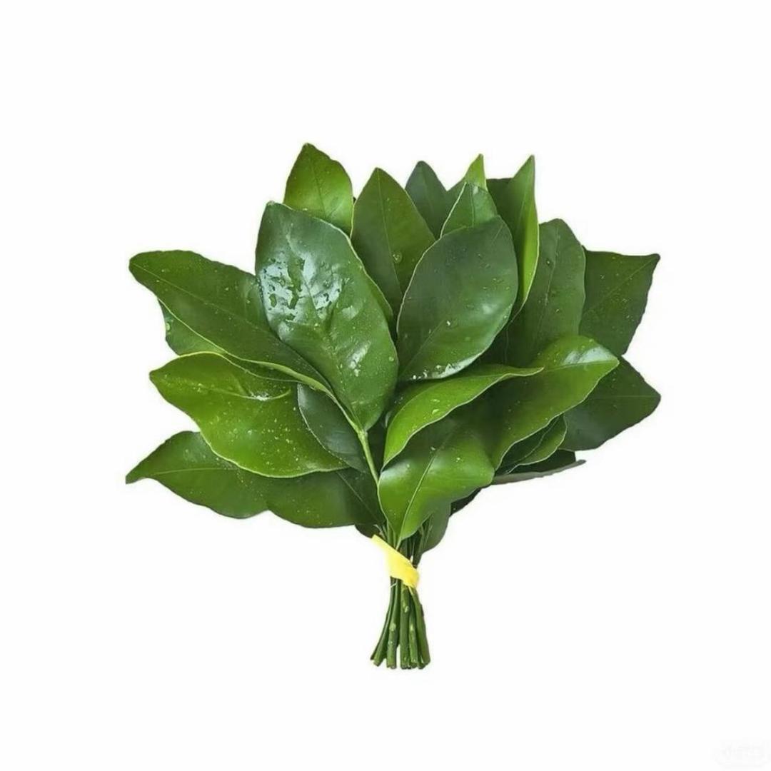 小芯美人