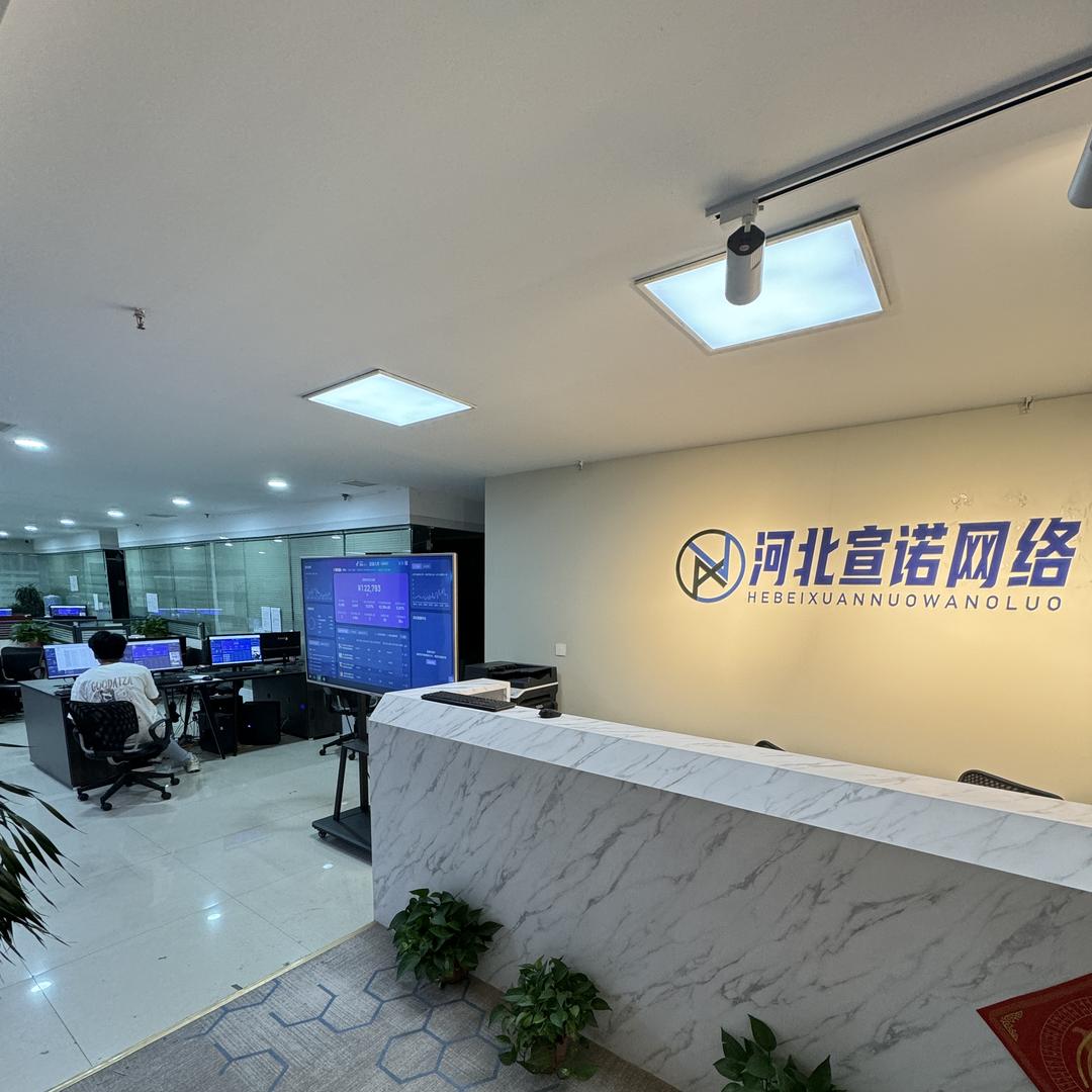 河北宣诺网络