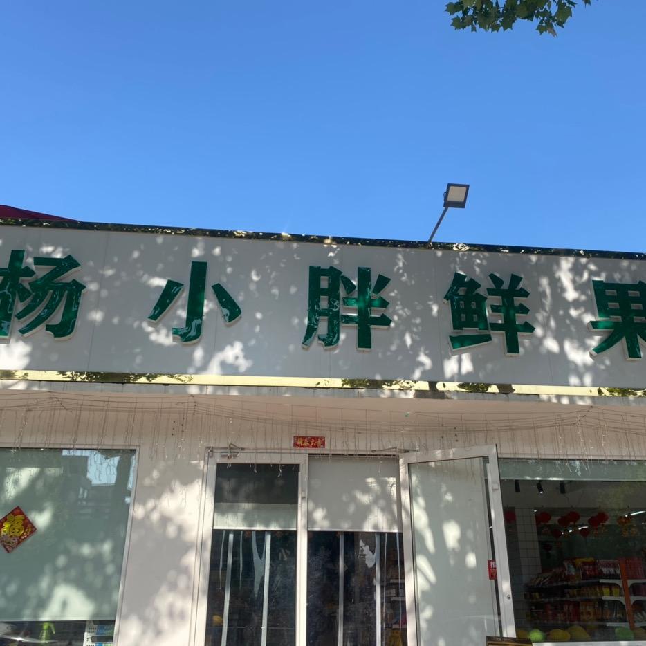 恋购杨小胖鲜果水果专用号