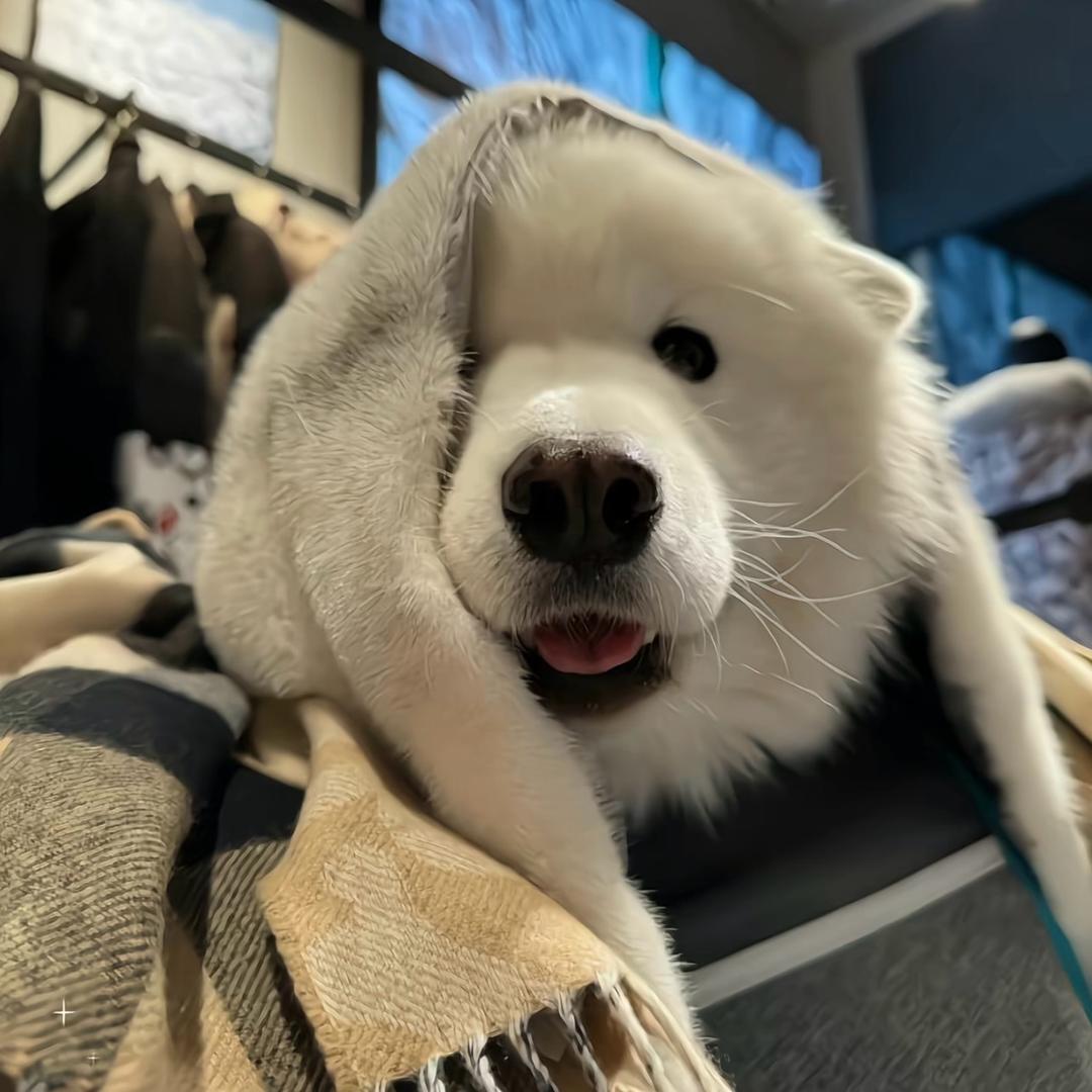 拾