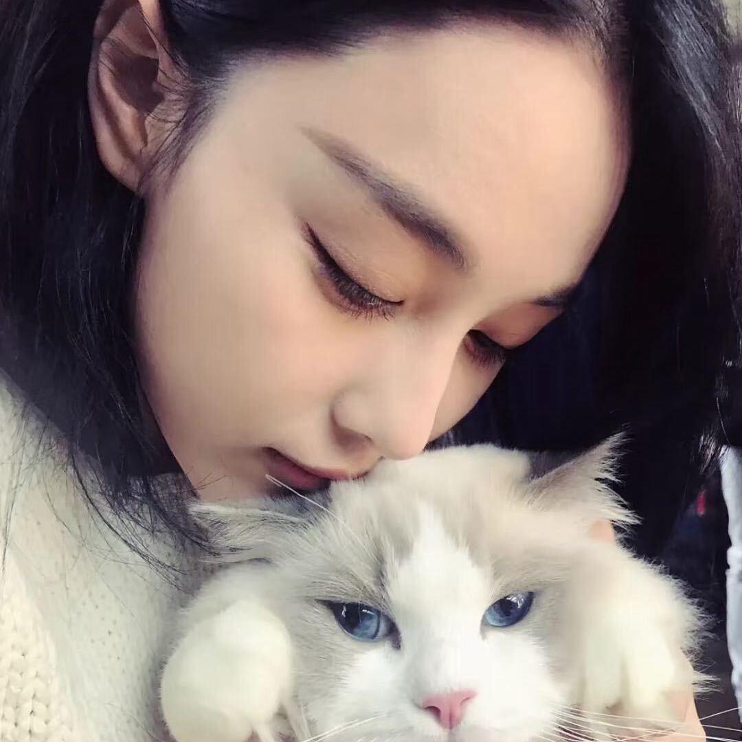 狮子猫xiix