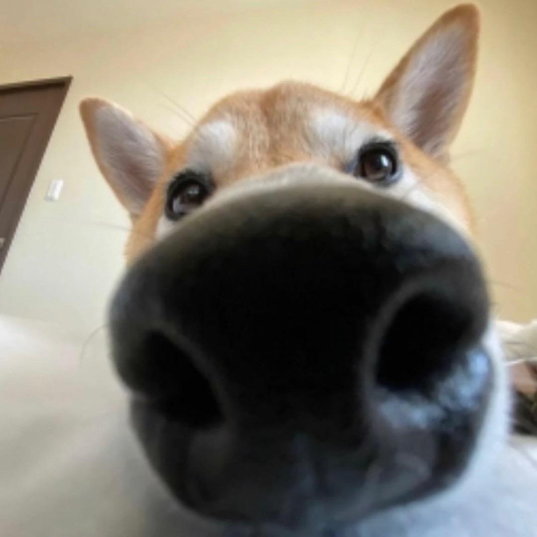 三秋叶-