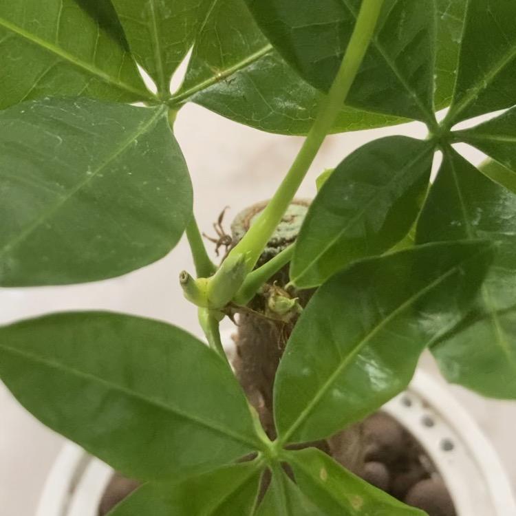 百货优选好物