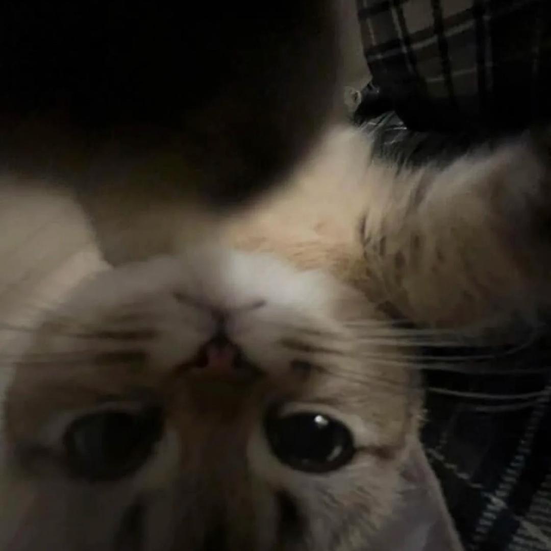 537