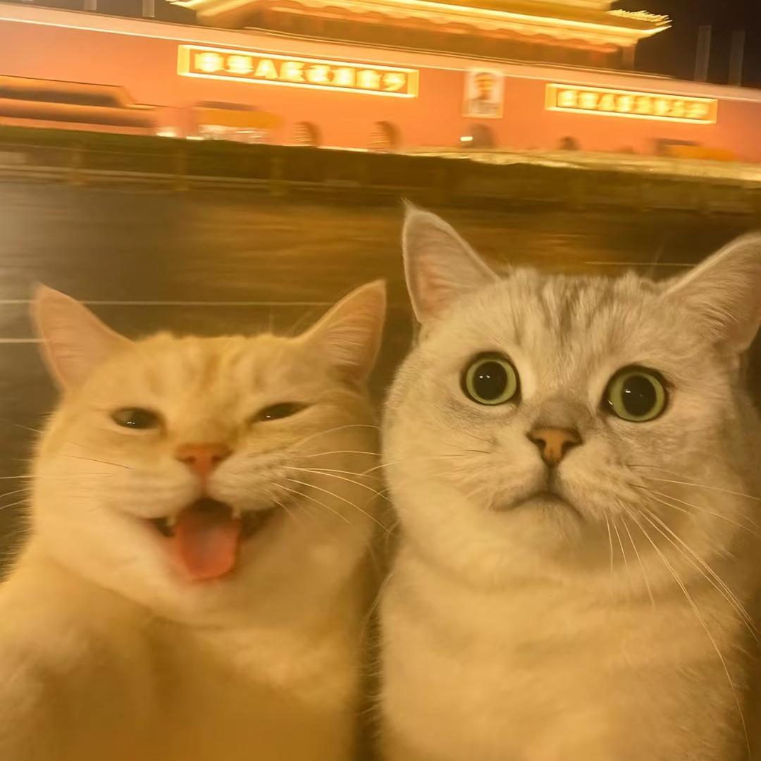 *✨n✨*
