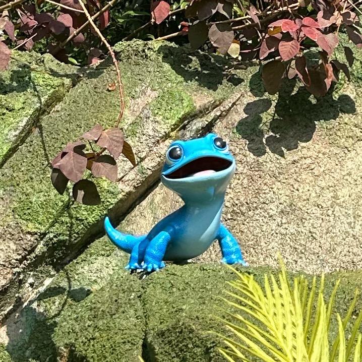 茉茉糯糯