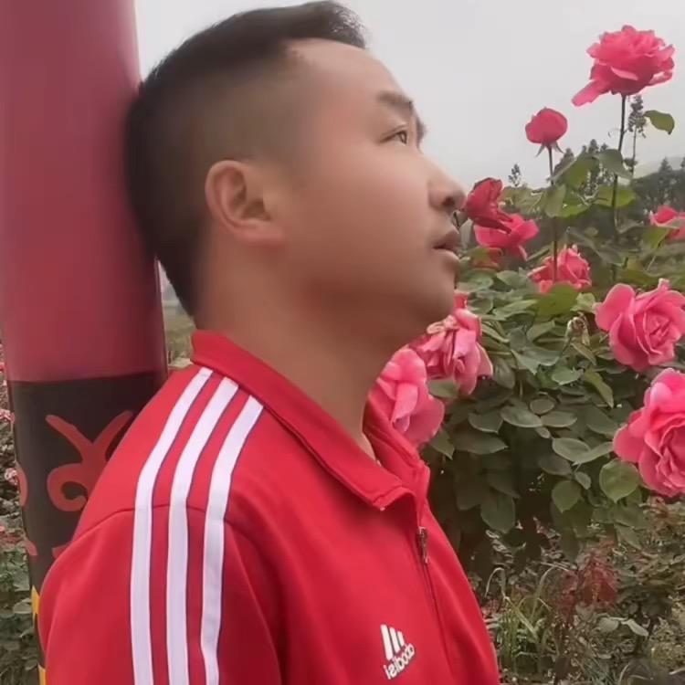 刘老文