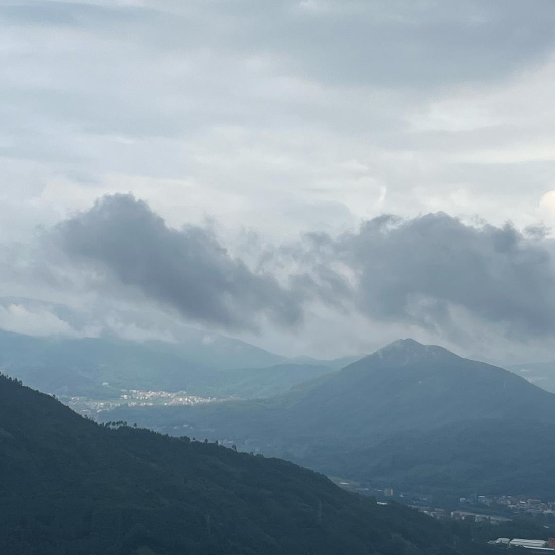 晨艺