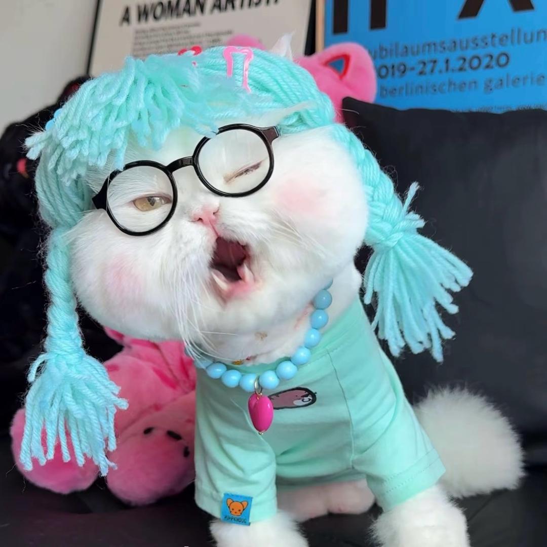 昔拉