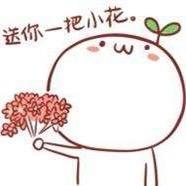 小杨啊哈