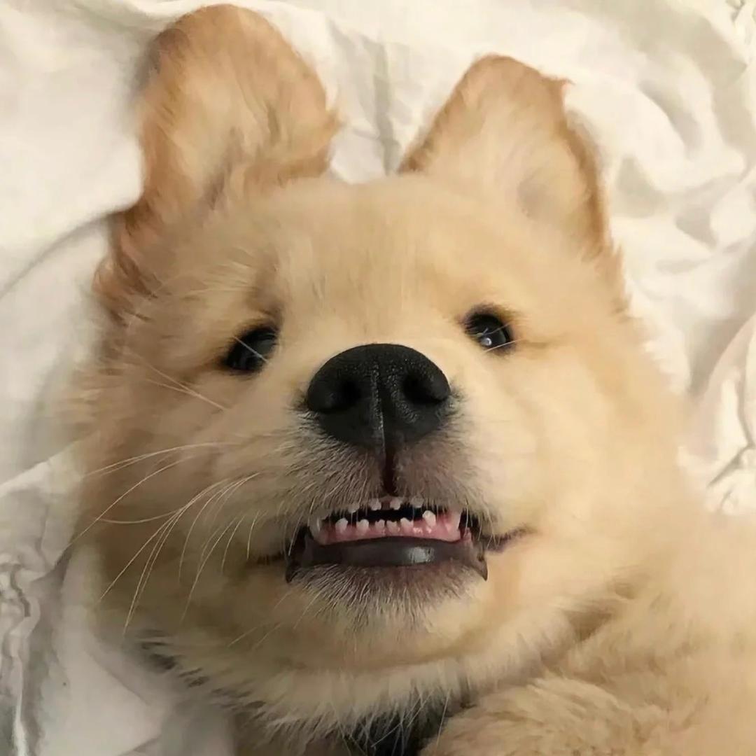 小懒🧸